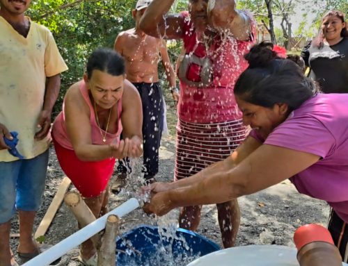 When Brothers Show Up: Wells, Walls and Seeds get Planted